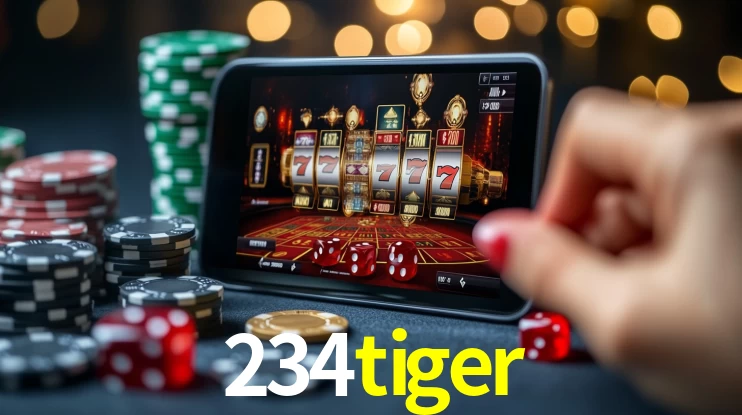 234tiger App Interface